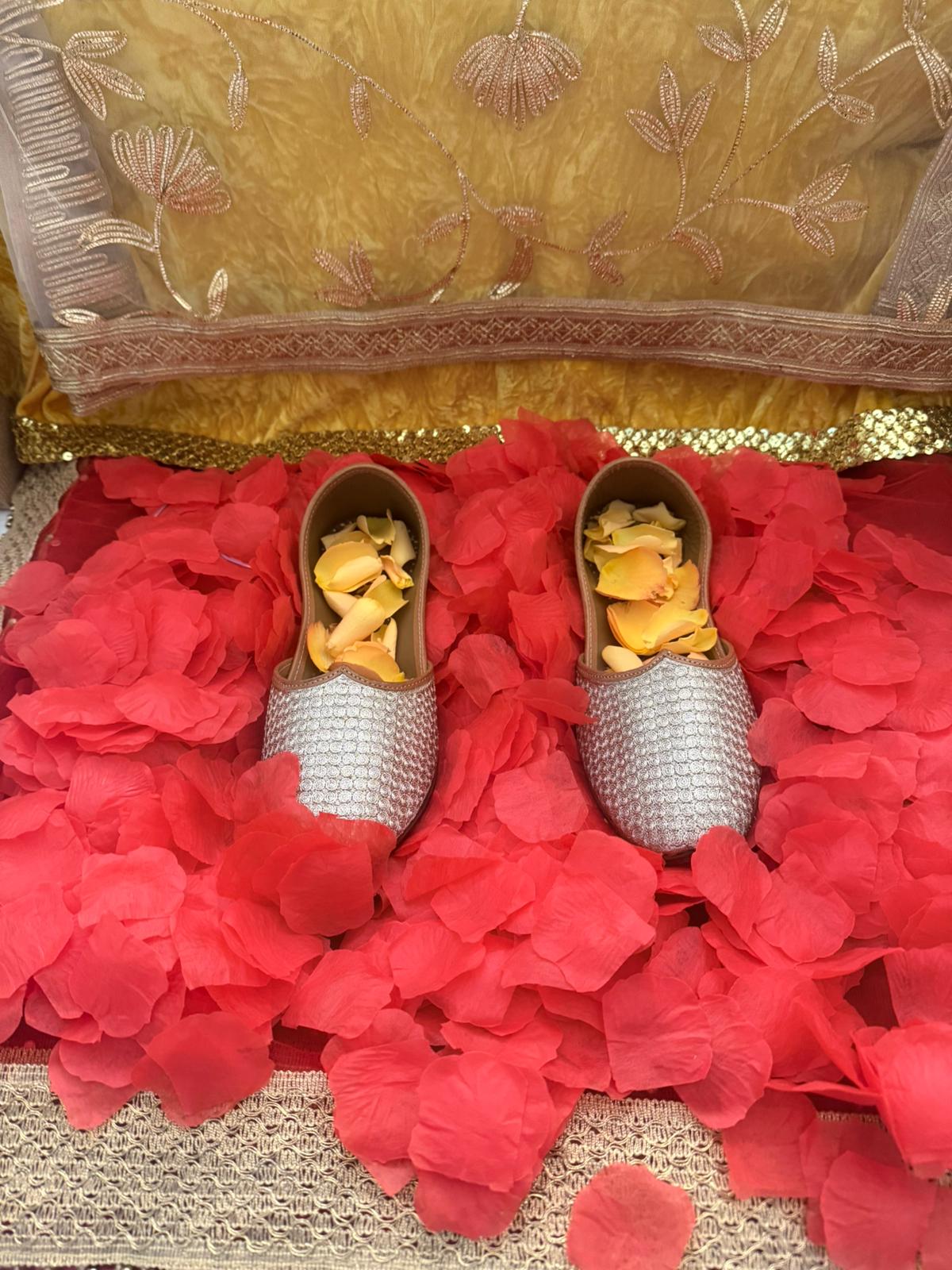 Apr26 - Vaishakhi Satsang - Photo 6