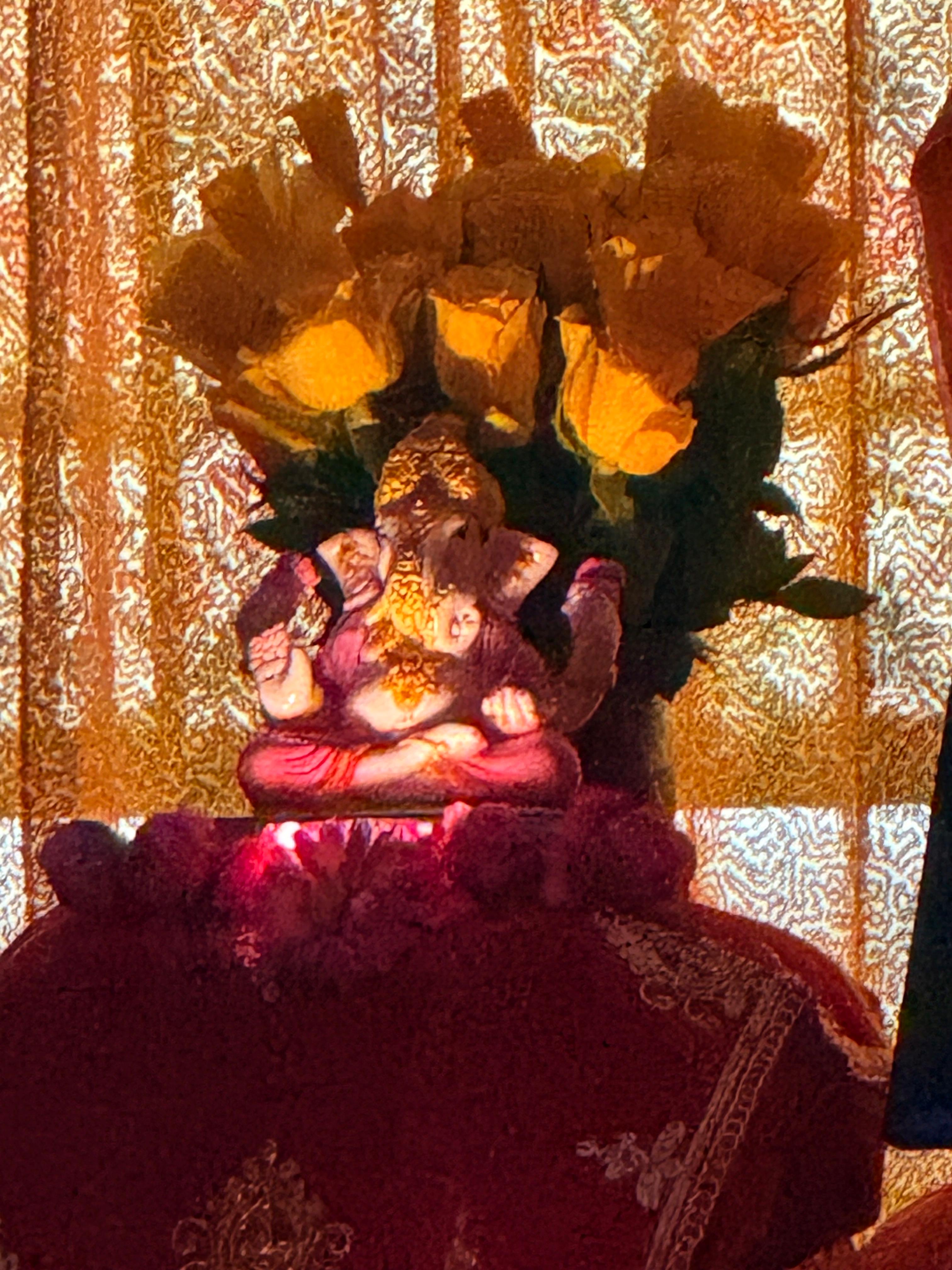 Feb26 - Maha ShivRatri Satsang - Photo 12