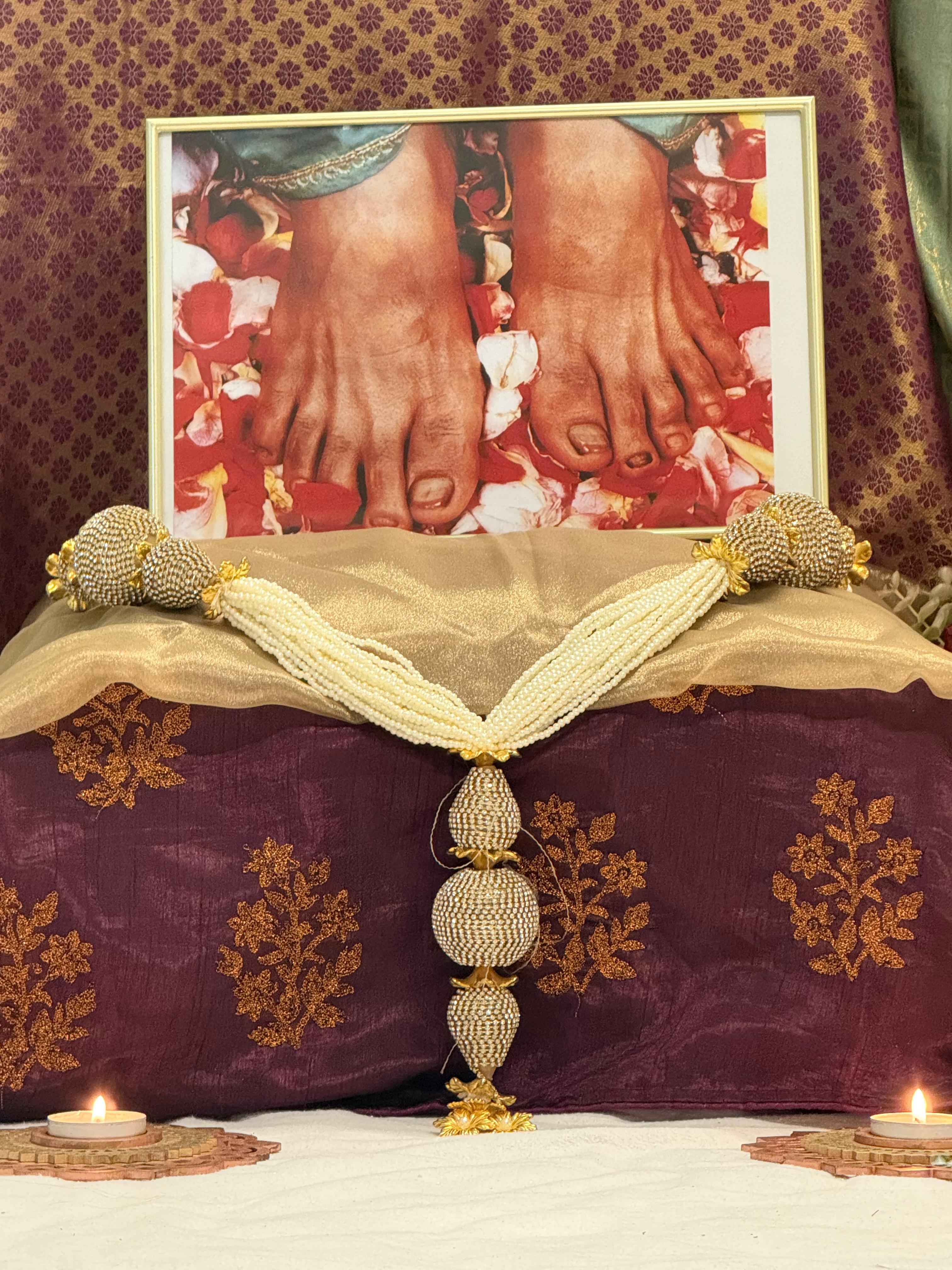 Mar26 - GuruJi Satsang - Photo 5