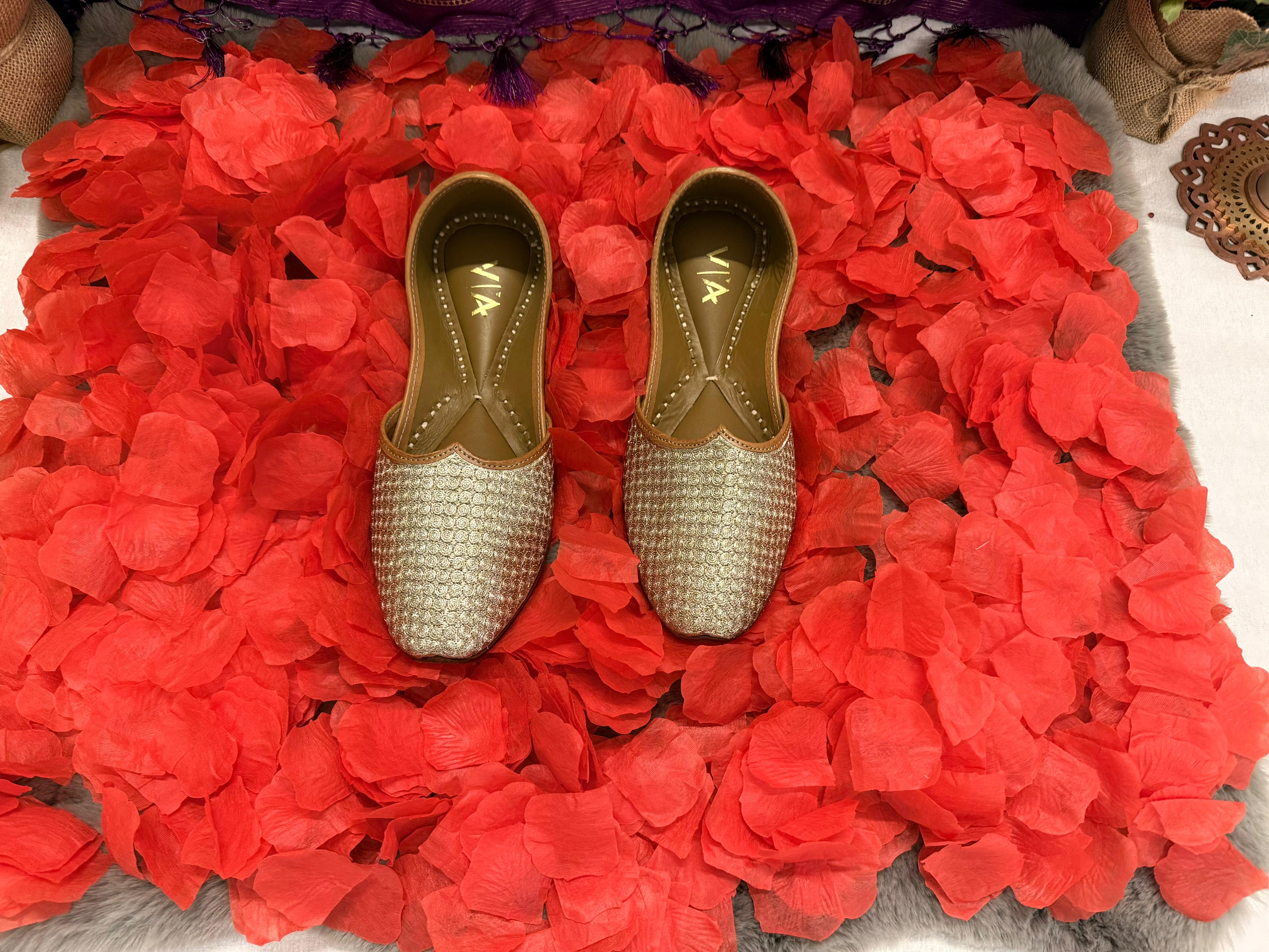 Mar26 - GuruJi Satsang - Photo 6